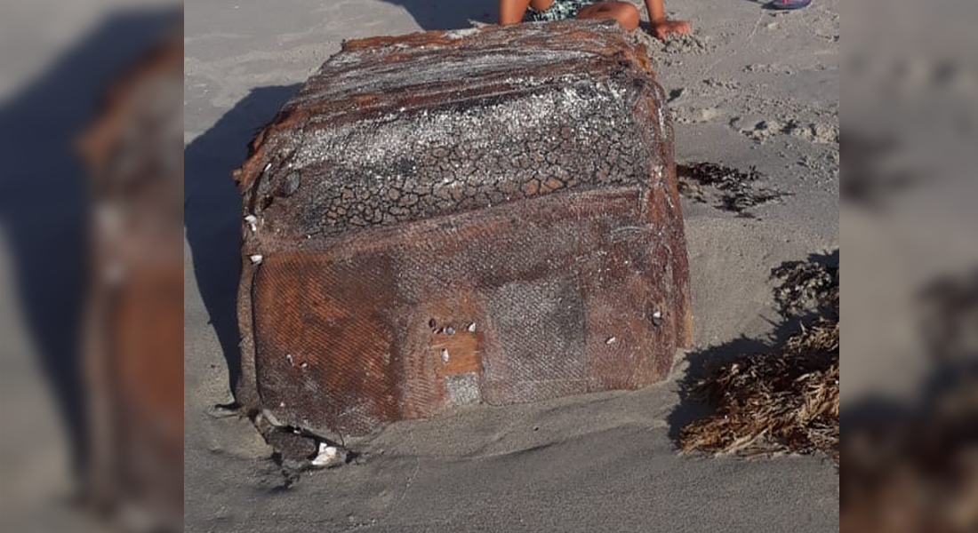 Material é semelhante ao encontrado no litoral do Nordeste, em 2018