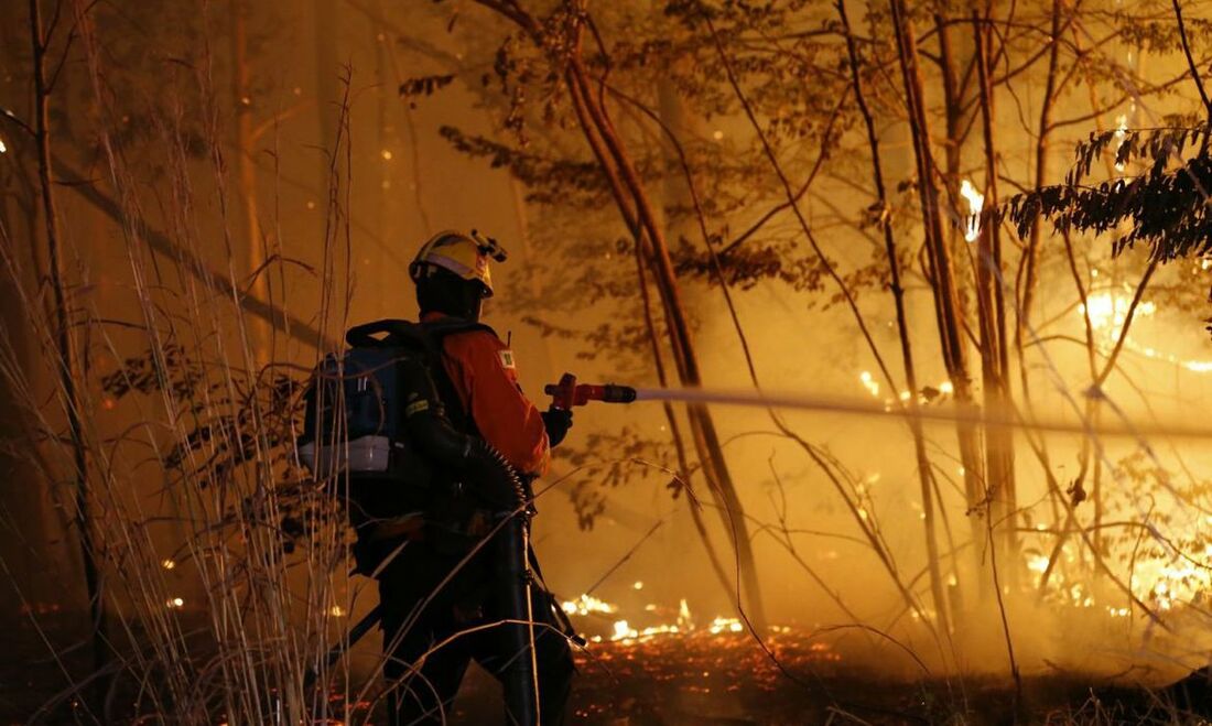 Incêndio na Floresta Nacional de Brasília (Flona)