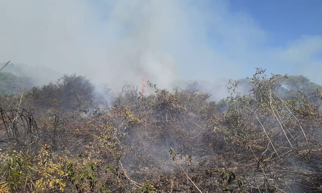 Incêndio destrói área do Pantanal perto de Corumba