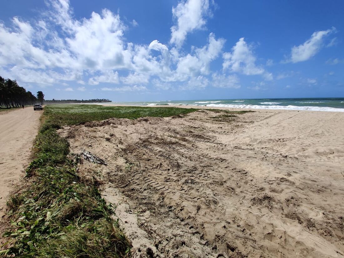 Praia de Maracaípe