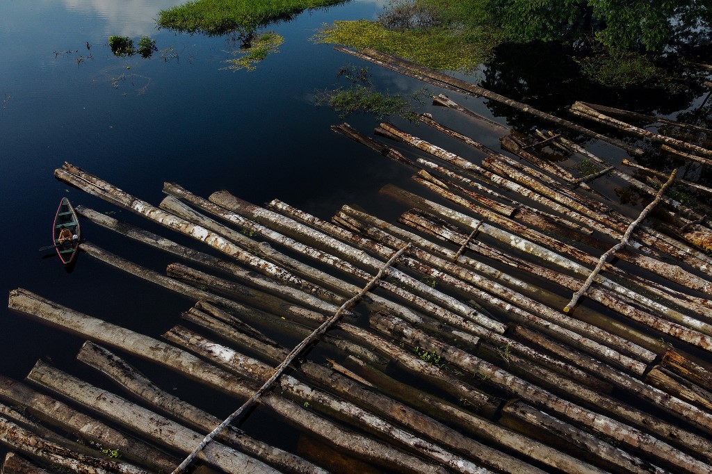 Desmatamento na amazônia