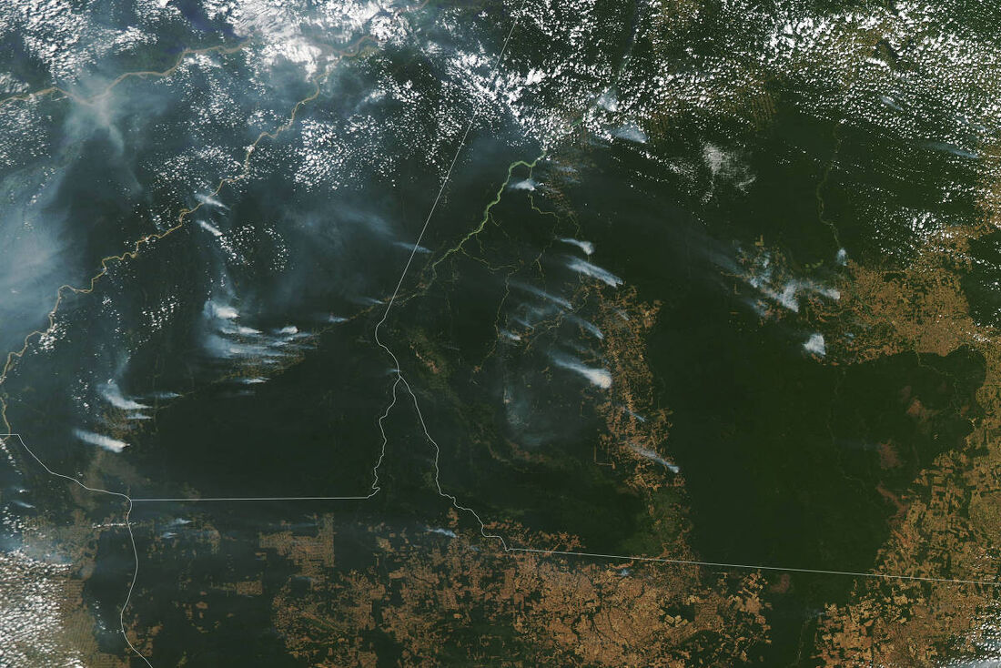 Imagens de satélite mostram queimadas em 1º de agosto na Amazônia