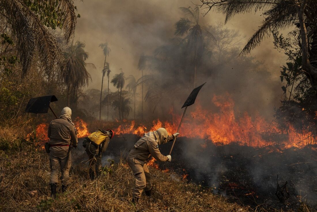 Bombeiros e brigadistas combatem incêndio florestal na fazenda São Francisco do Perigara, maior habitat de araras-azuis do Brasil, no estado do Mato Grosso