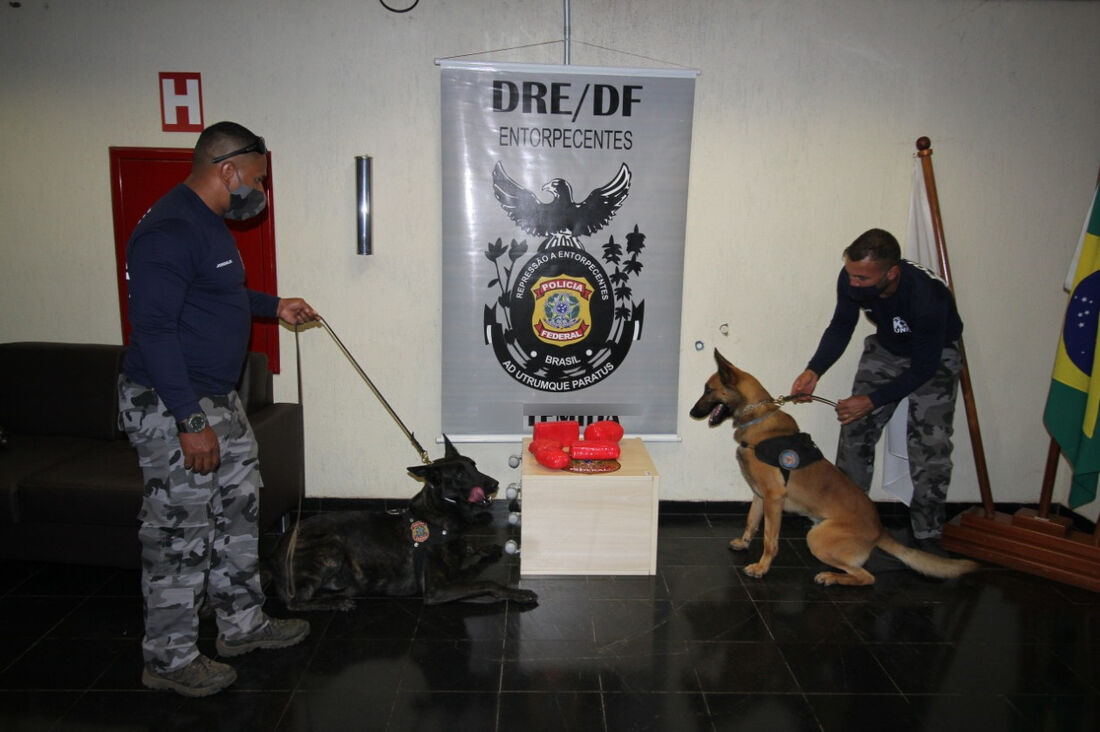 Cães farejadores ajudaram a localizar a droga com a segunda suspeita