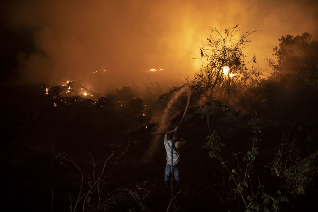 Queimadas no Pantanal