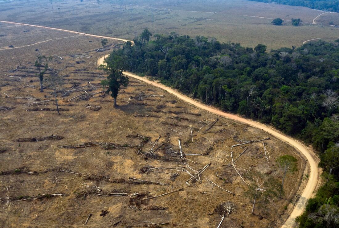 Queimada em área amazônica de Porto Velho, Rondônia