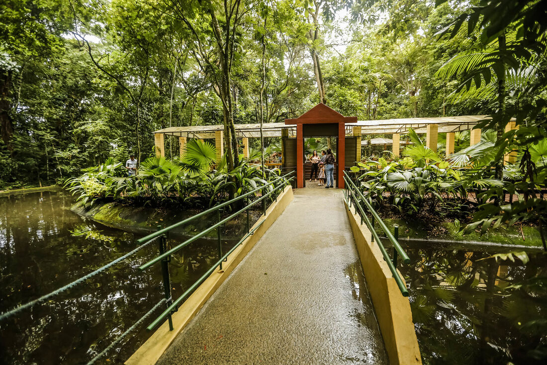 Jardim Botânico do Recife