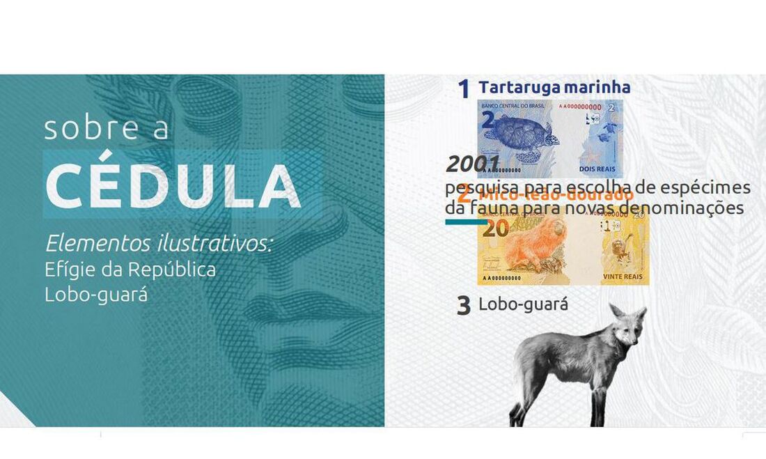 Design da cédula será relevado nesta quarta