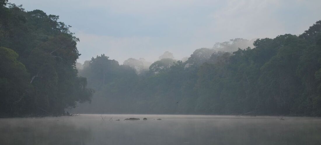 Área concedida compreende 265 mil hectares