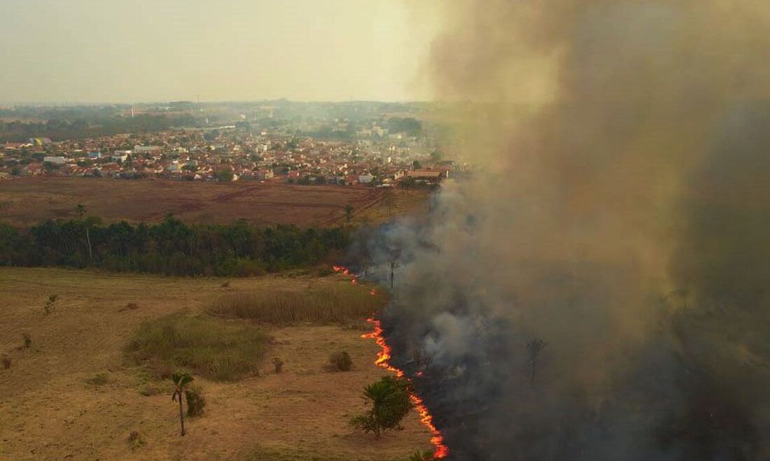 Queimadas no Pantanal