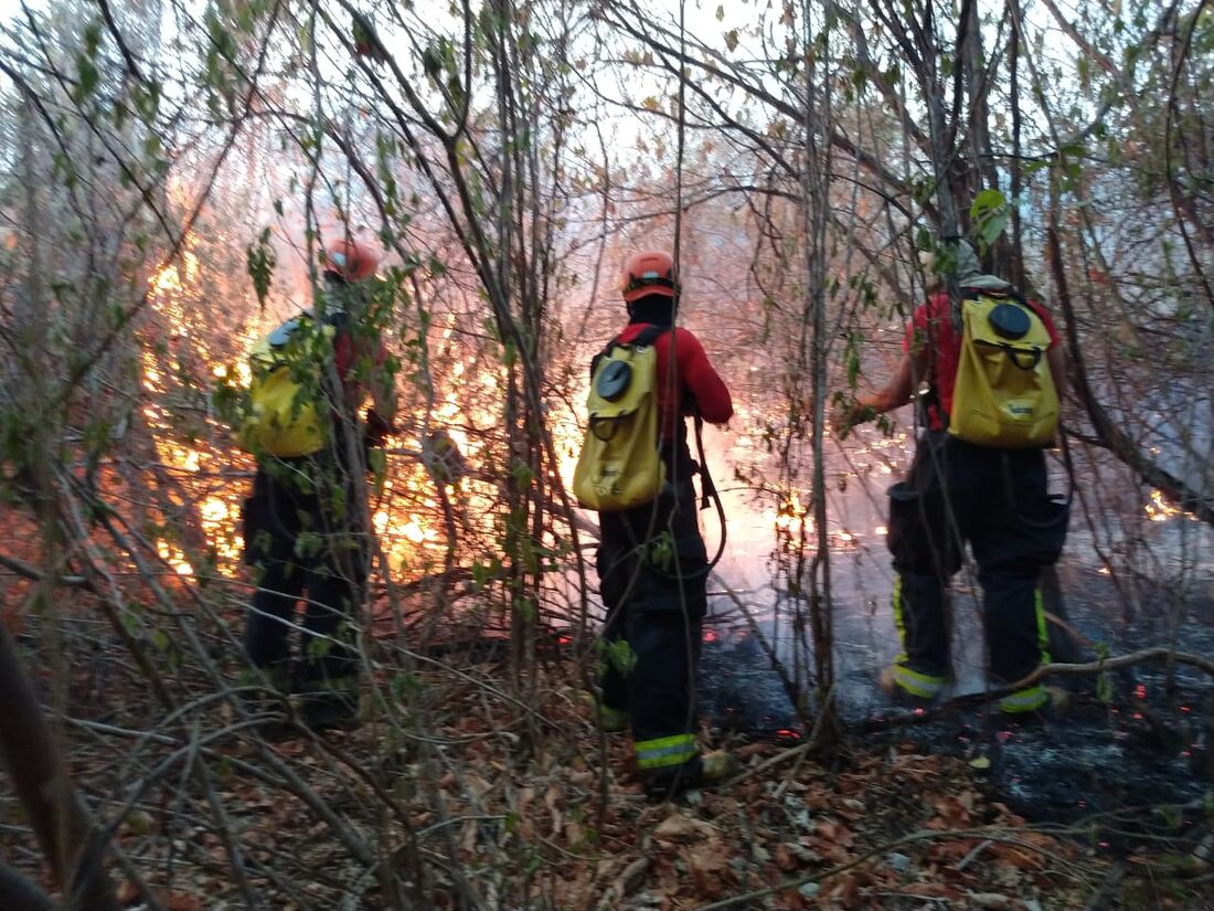 Incêndio no Parque Estadual Mata da Pimenteira, em Serra Talhada