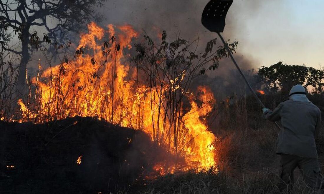 Vianna Barreto esteve na região do Pantanal em apoio às ações de enfrentamento aos incêndios