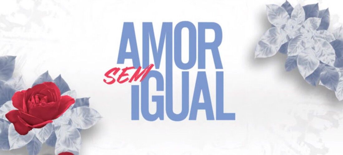 Novela Amor sem Igual