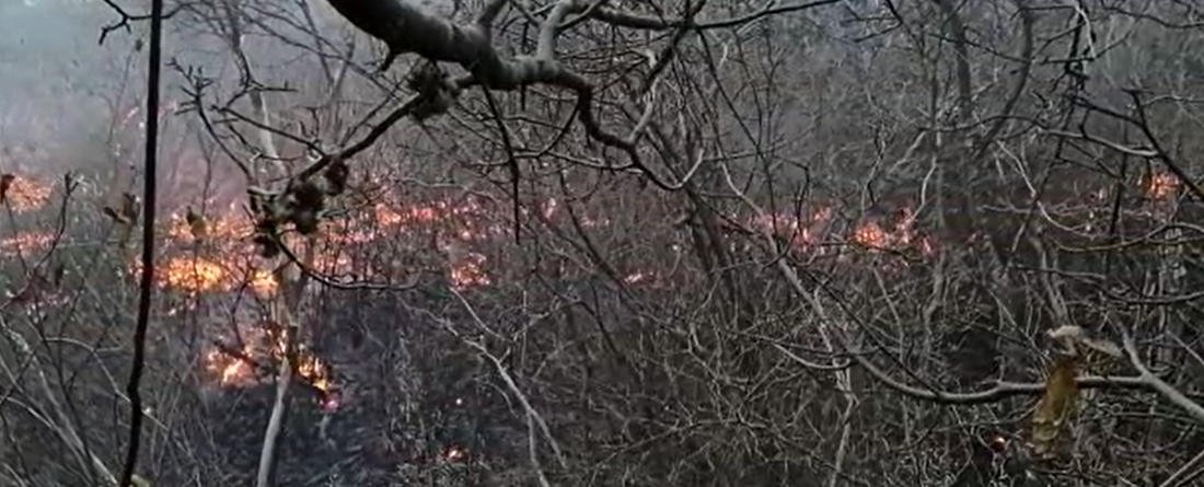 Incêndio no Parque Estadual Mata Pimenteira