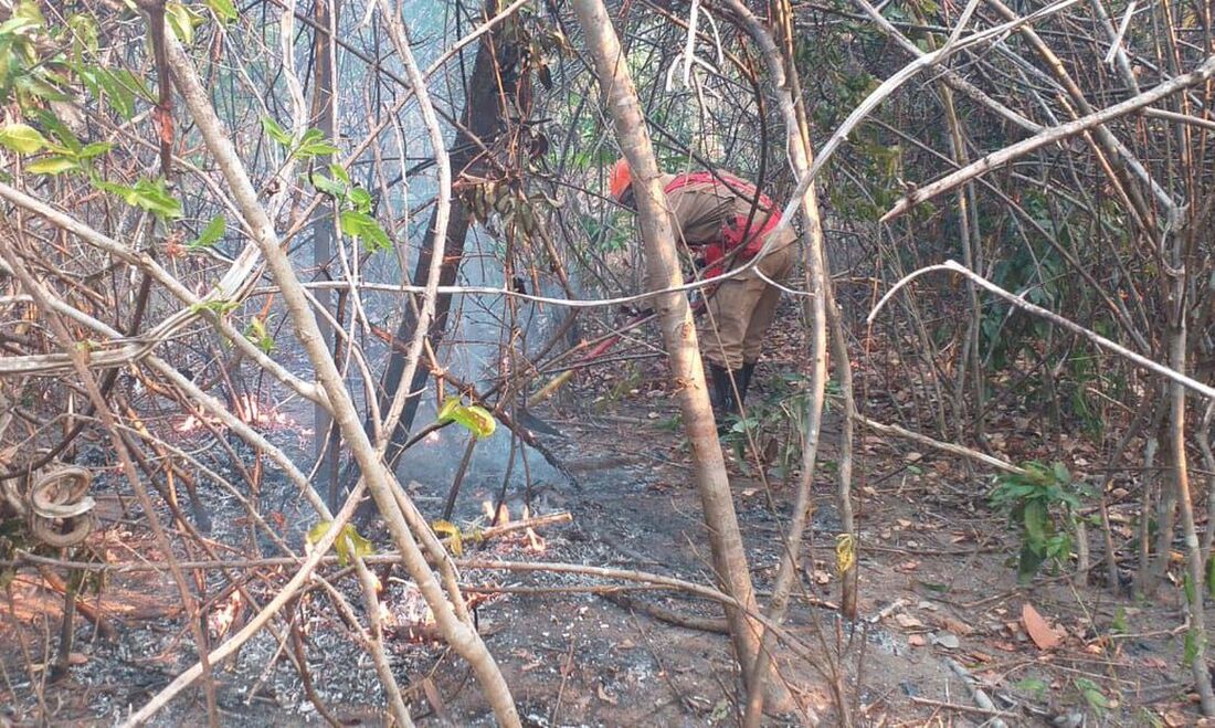 Queimadas na Chapada dos Veadeiros