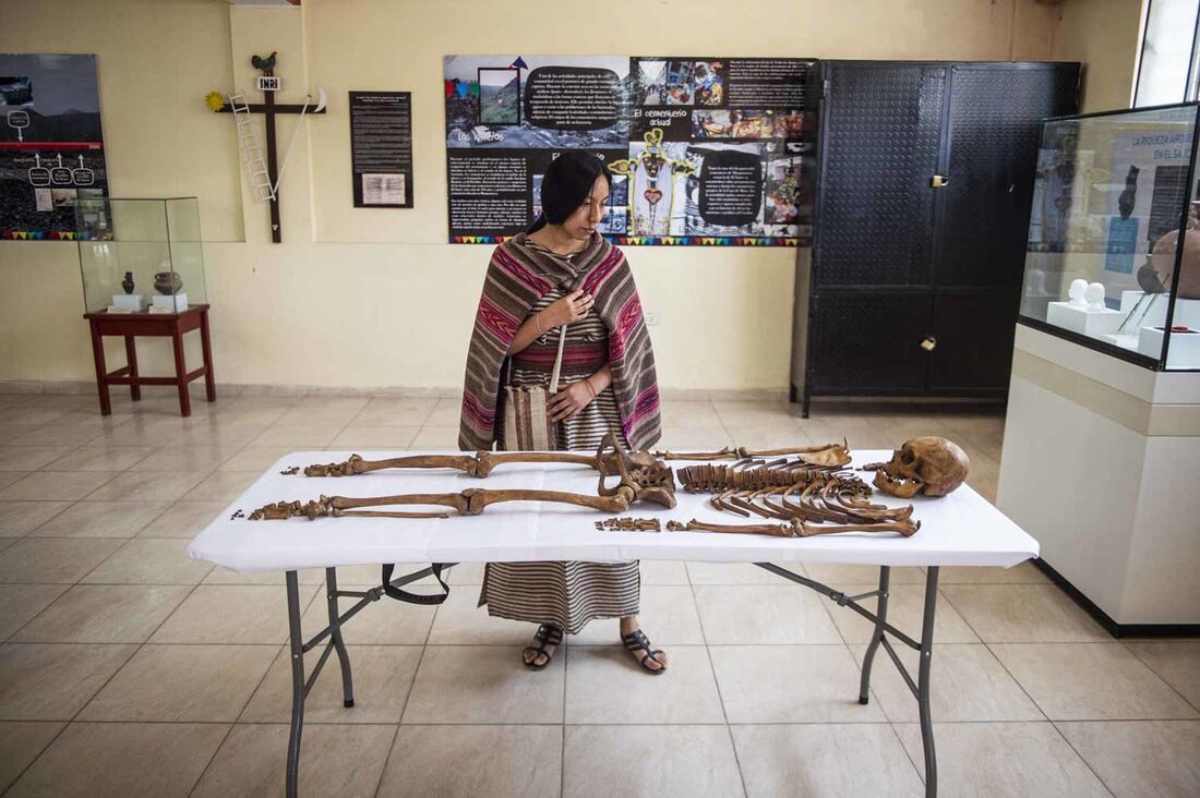 Múmias de filhote de leão são encontradas em grande descoberta no Egito