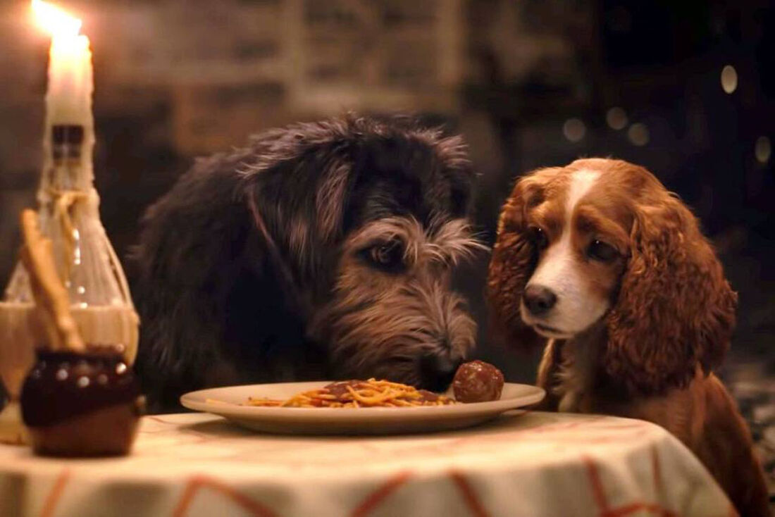 Live-action de "A Dama e o Vagabundo", da Disney