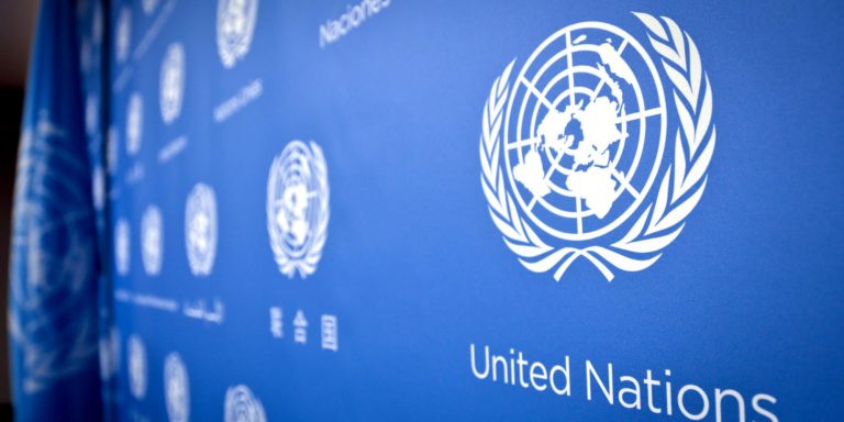 Onze deputados e sete senadores integram o Grupo Parlamentar Brasil-ONU