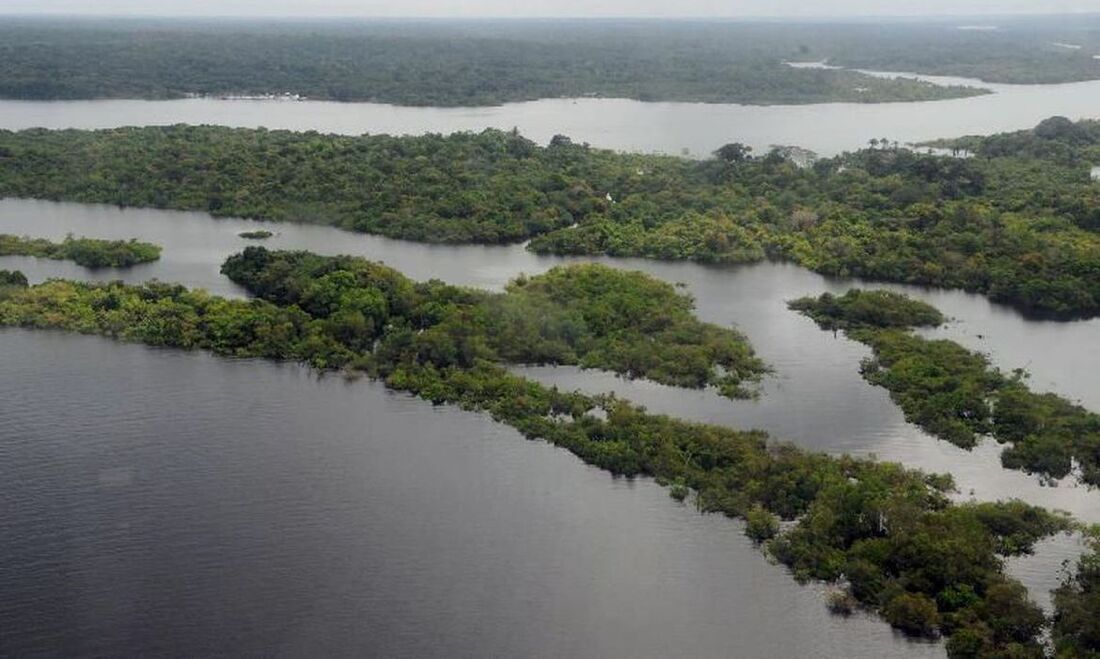 Amazônia 