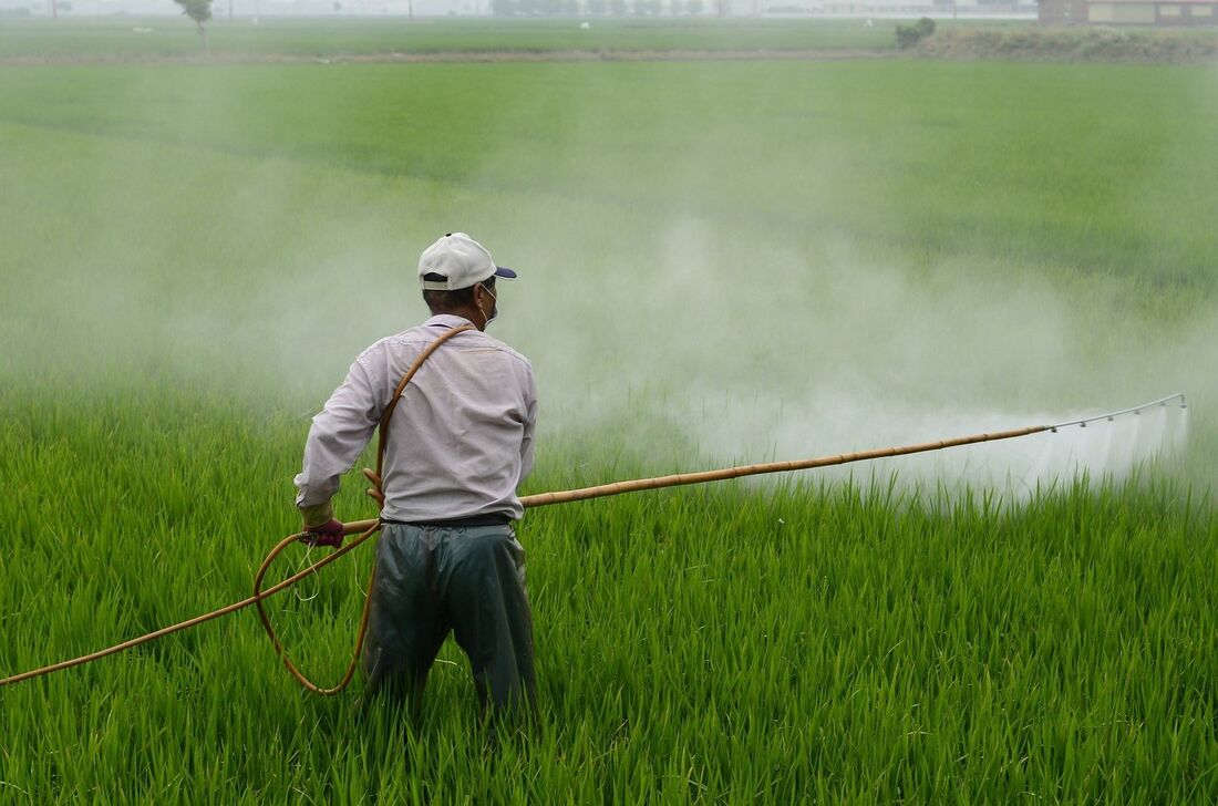 O uso do glifosato, um herbicida muito questionado, está em alta no Reino Unido.