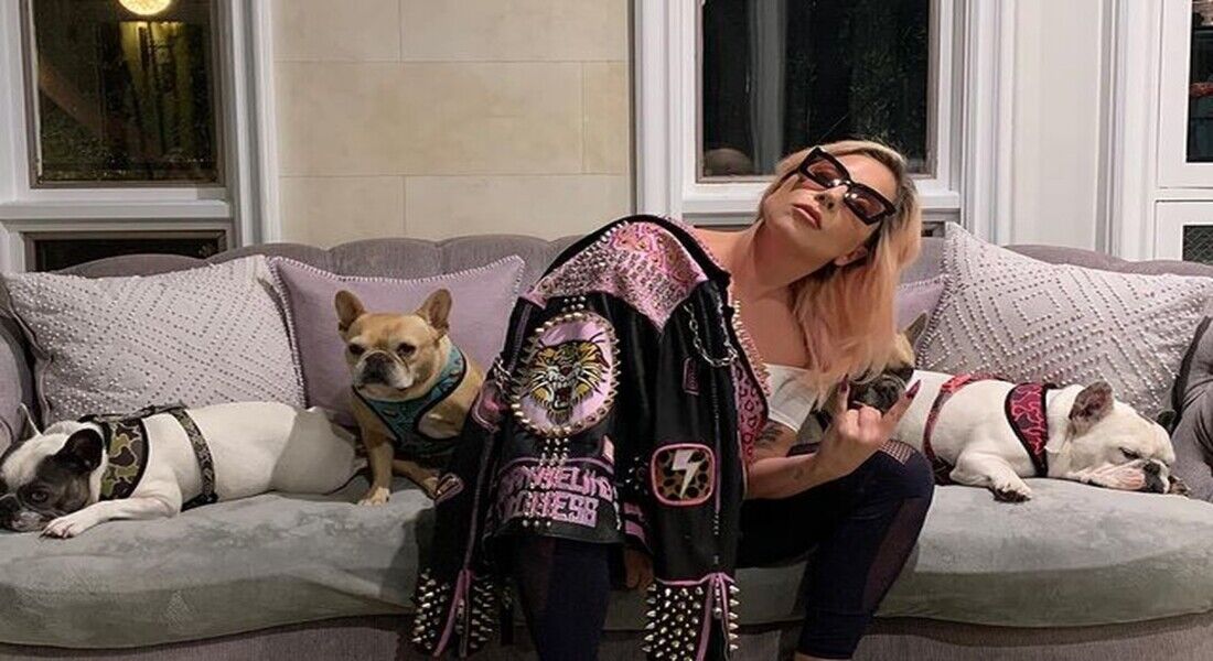 Lady teve dois cachorros roubados