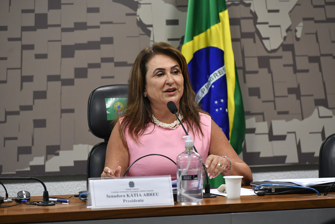 Senadora Kátia Abreu (PT-RO)