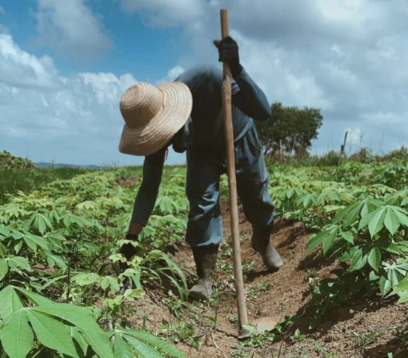 Agricultor