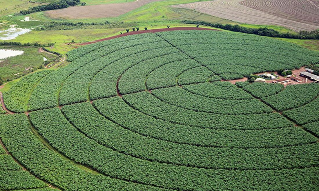 Agroindústria 