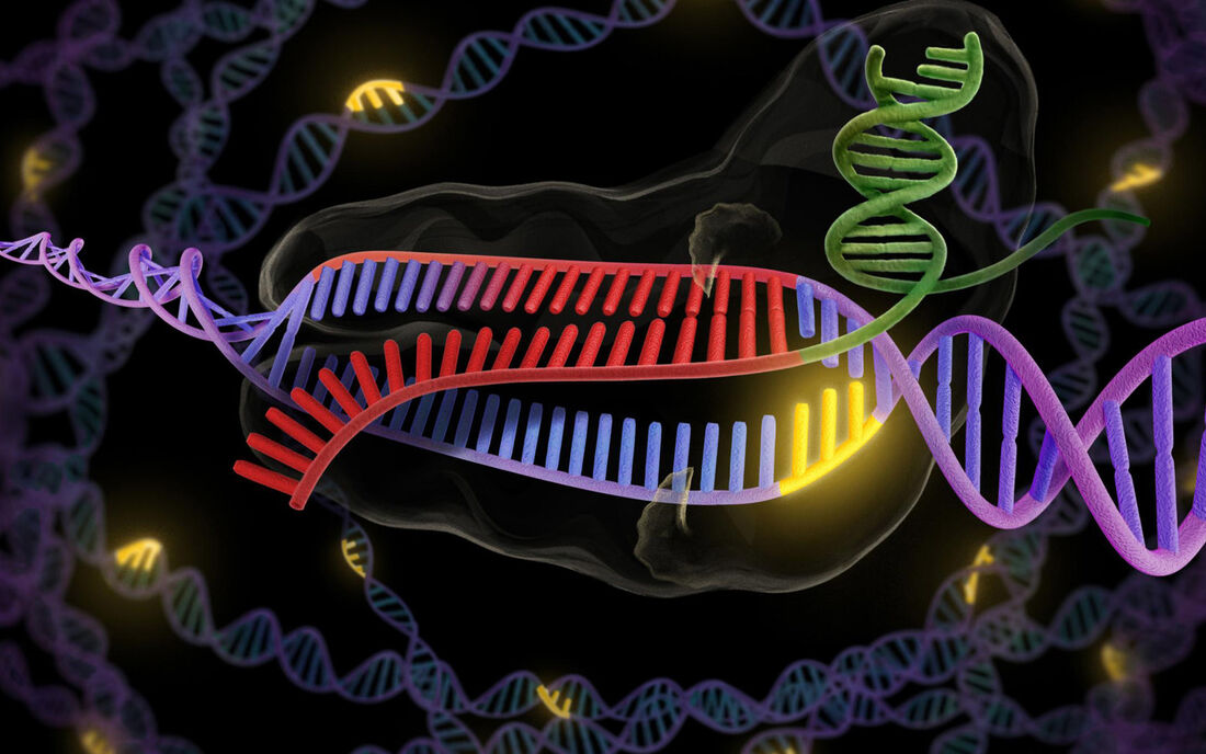 CRISPR/Cas9 é uma ferramenta molecular para “recortar e colar” o DNA