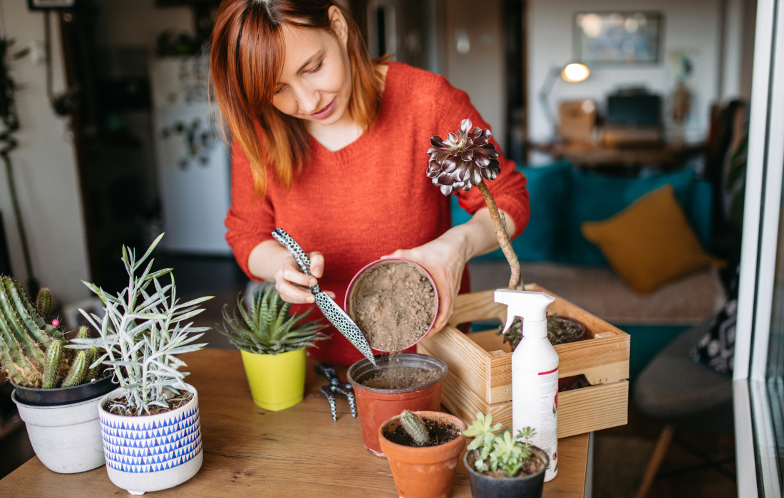 Jardinagem contribui para o bem-estar