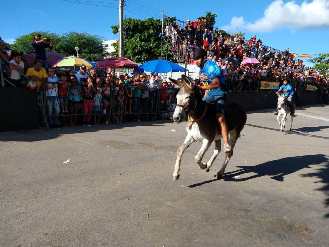 Corrida de jericos de Panelas