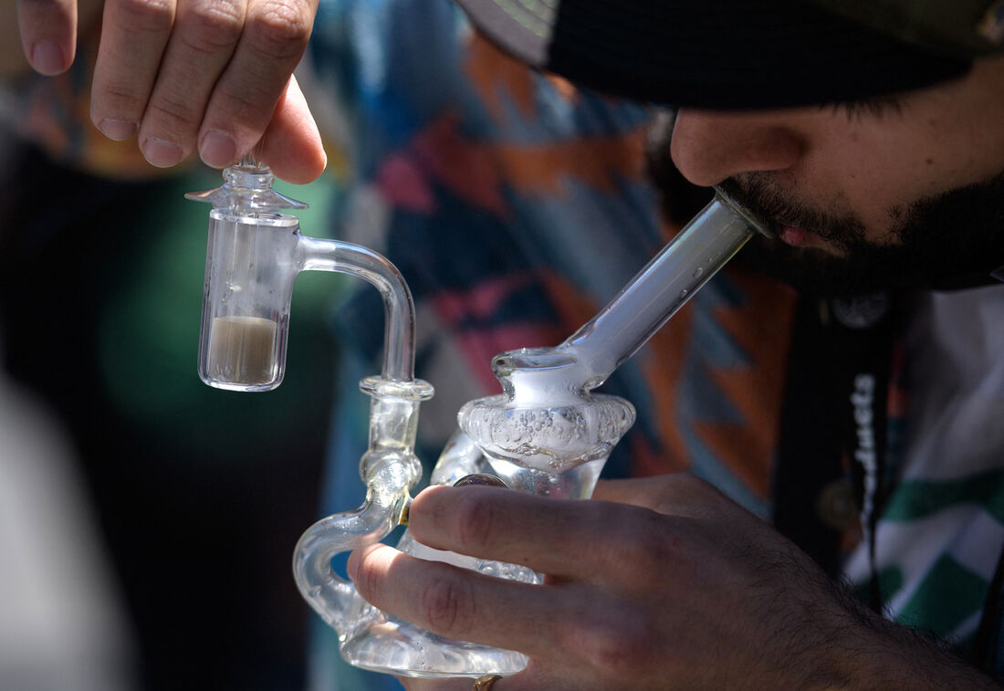 Cerca de ¾ de todas as pessoas entrevistadas relatou uso de maconha e haxixe nos últimos 12 meses