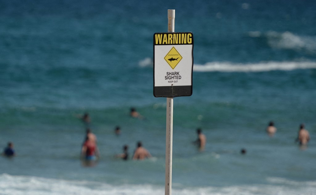 Placa de aviso de tubarão em praia da Austrália