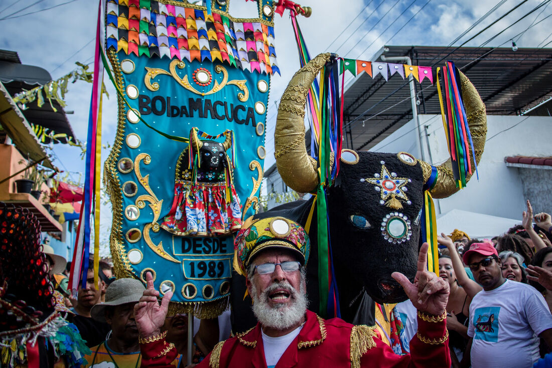 Zé da Macuca, durante o cortejo do Boi