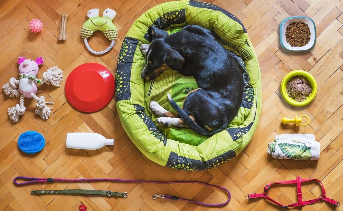 Variedade de produtos para pets só cresce