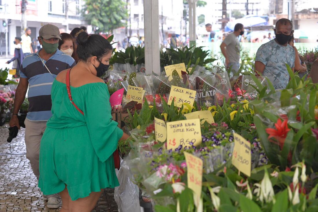 Festival de Flores de Holambra, que acontece no Pátio do Carmo, área central do Recife