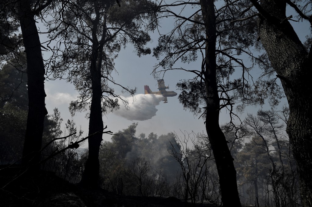 Incêndio em floresta próximo a Atenas