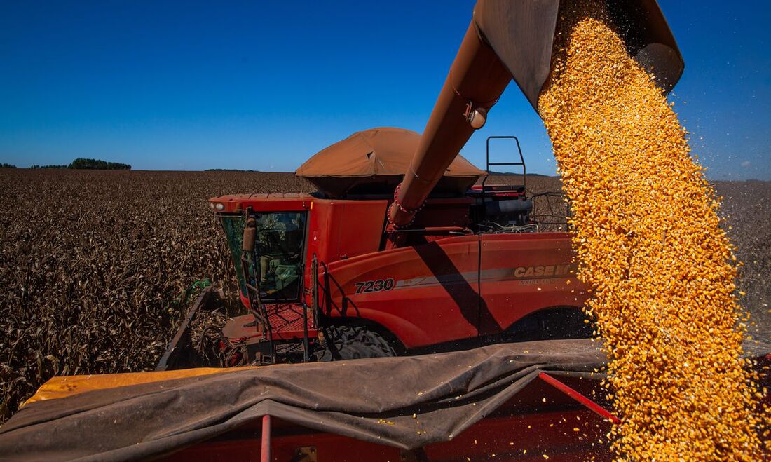 Produção agrícola 