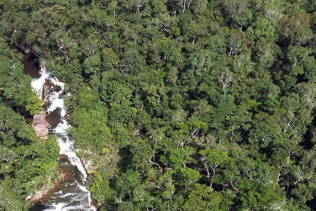 Parque Estadual (PES) Ilha das Flores