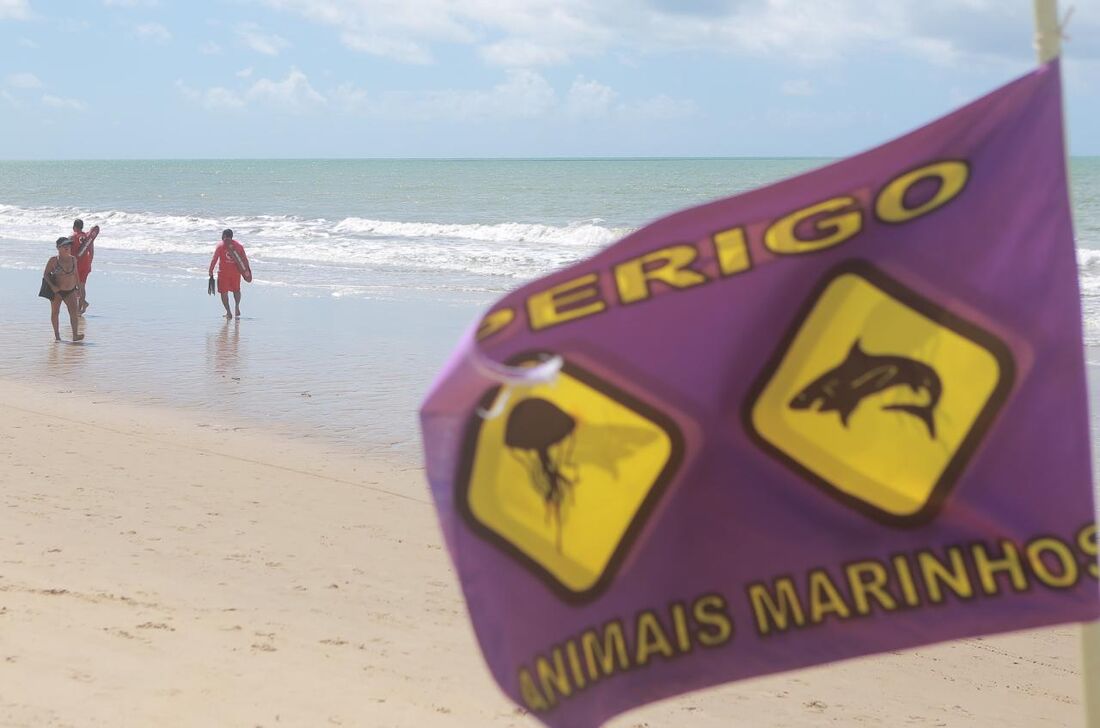 Praia de Piedade após ataque de tubarão