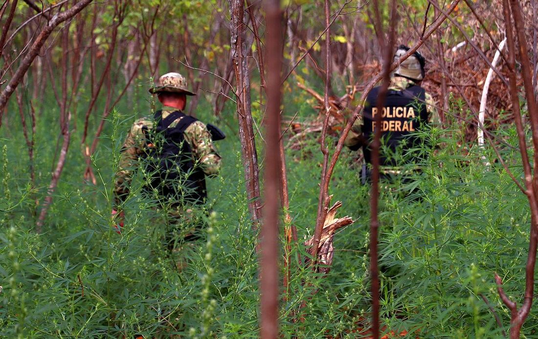 Ação da Polícia Federal no Sertão de Pernambuco