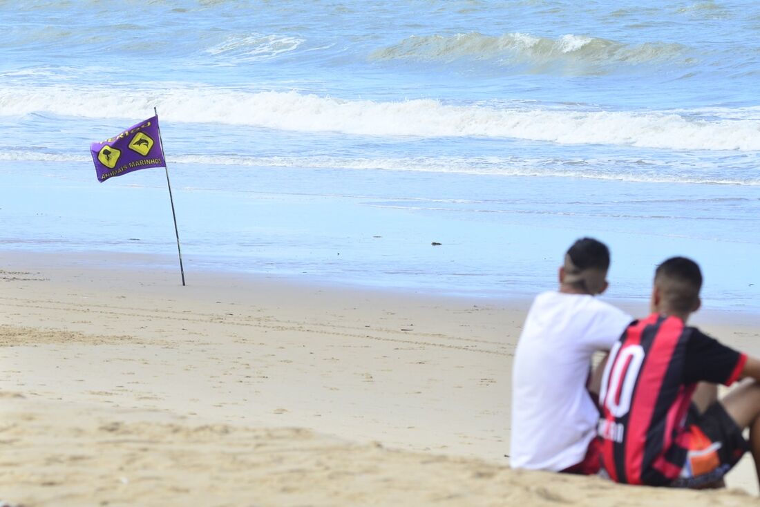 Movimentação na praia de Piedade após incidentes com tubarão