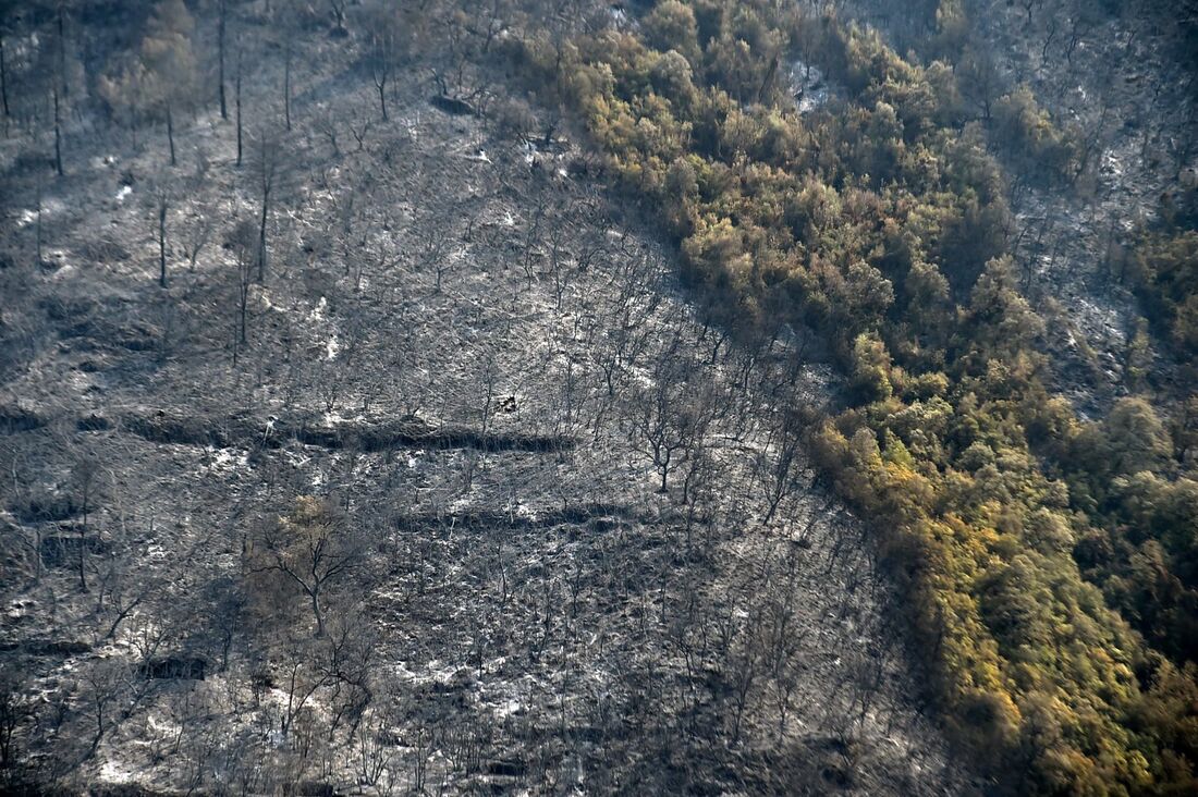 Mais de 100 focos de incêndios foram notificados no país