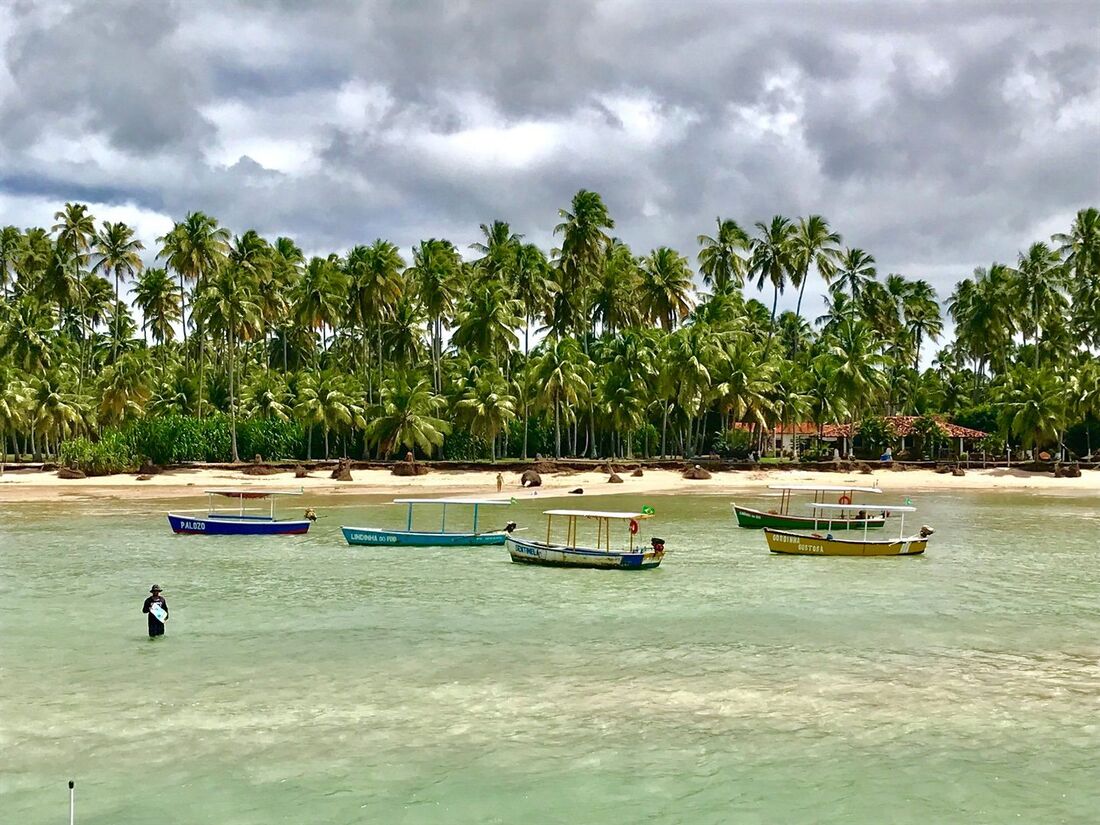 Praia de Carneiros: cenário paradisíaco no litoral sul de Pernambuco