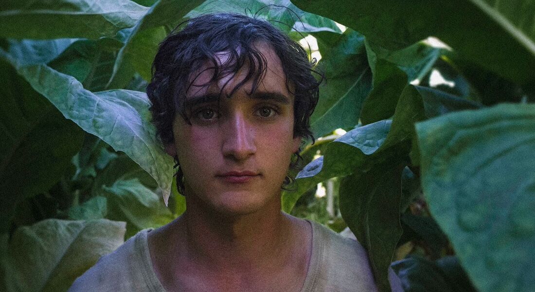 "Lazzaro Felice" é tema de debate no Museu da Imagem e Som (MIS)