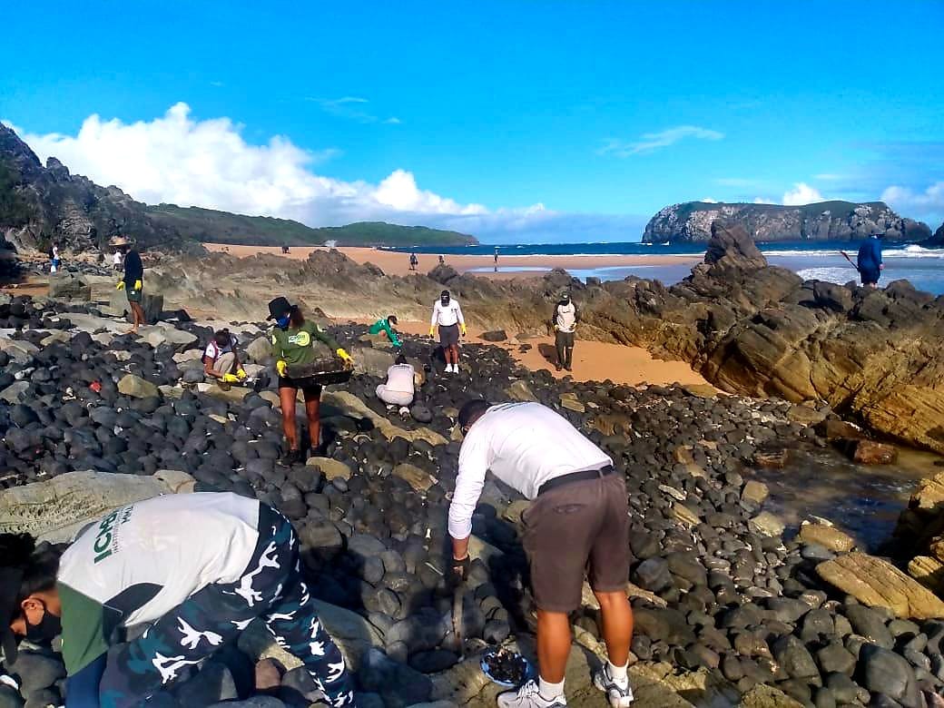 Cerca de 50 voluntários participaram das ações de recolhimento de óleo em Noronha