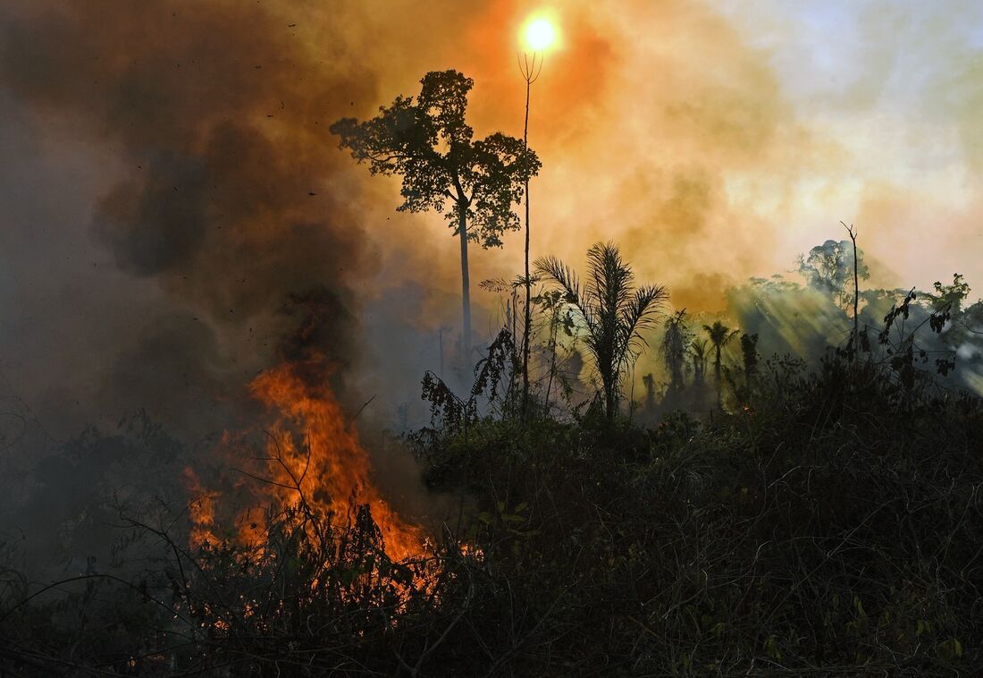 Fogo na região da floresta amazônica