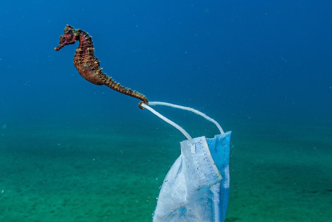 O impacto dessa poluição sobre os ecossistemas e até sobre a alimentação humana são algumas das evidências observadas pelos pesquisadores