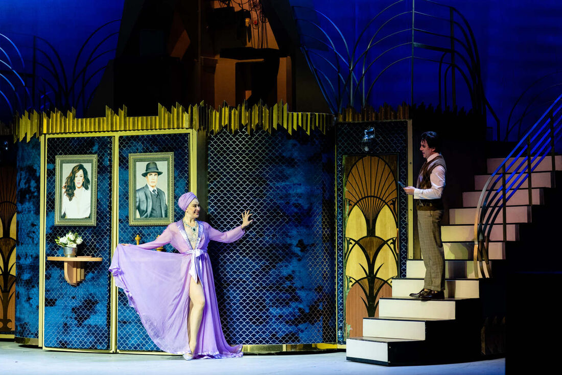 A comédia conta a história de amor entre um famoso escritor e uma diva do cinema