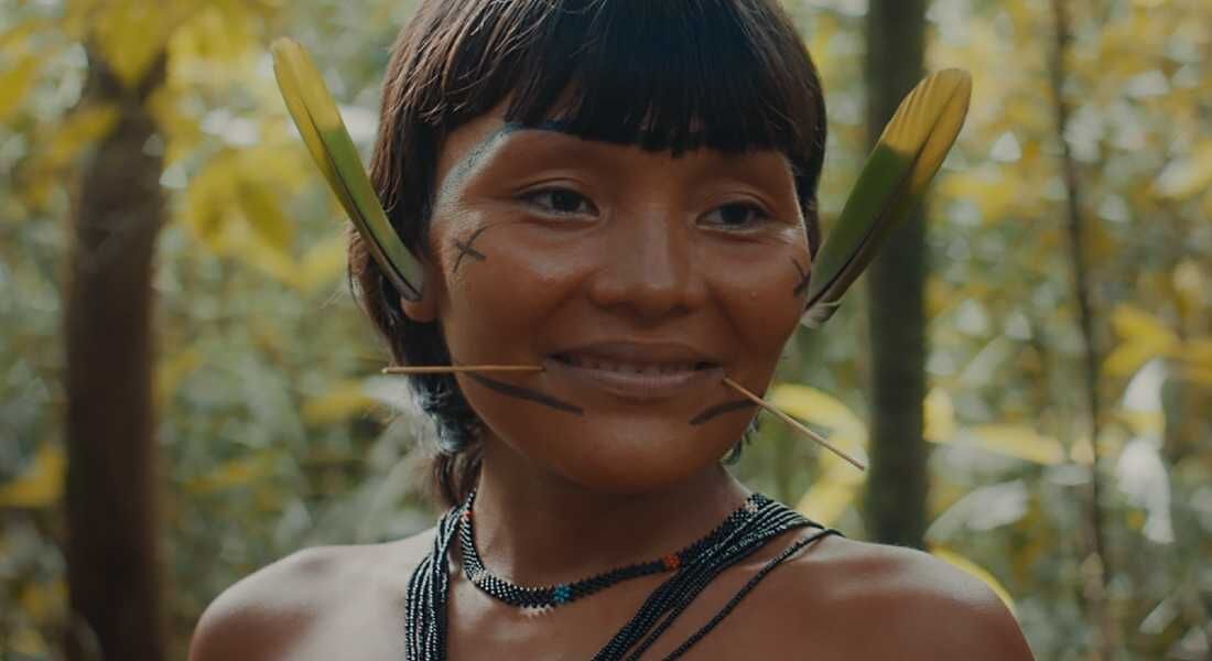 Filme "A Última Floresta"